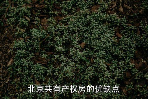 漢宇地產(chǎn),上海漢宇地產(chǎn)