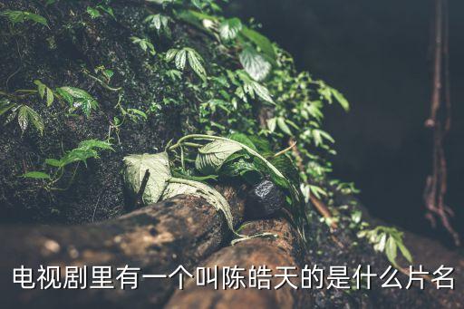 電視劇里有一個叫陳皓天的是什么片名