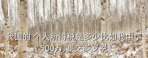 我國的 個人所得稅是多少比如我中了500萬,要交多歲稅