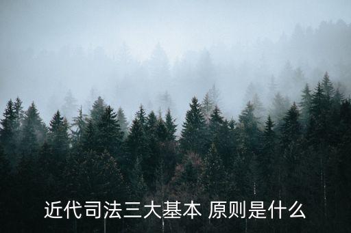 法律的三個基本原則,法律原則 8大原則