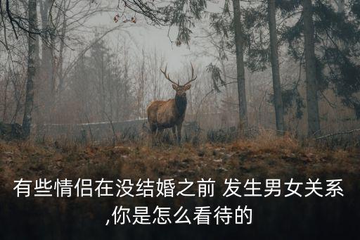 有些情侶在沒結(jié)婚之前 發(fā)生男女關(guān)系,你是怎么看待的