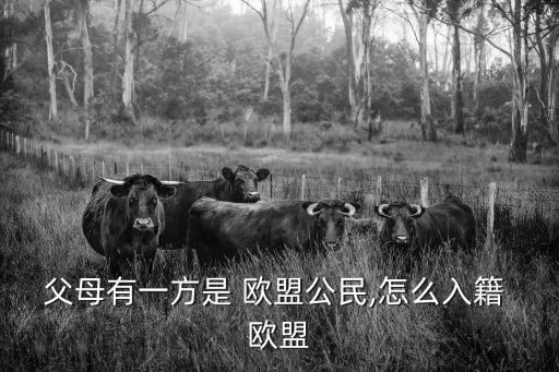 父母有一方是 歐盟公民,怎么入籍 歐盟