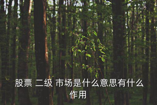 股票二級(jí)市場(chǎng)