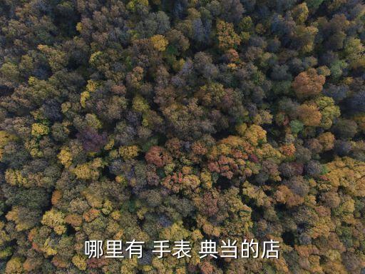 哪里有 手表 典當(dāng)?shù)牡? class=