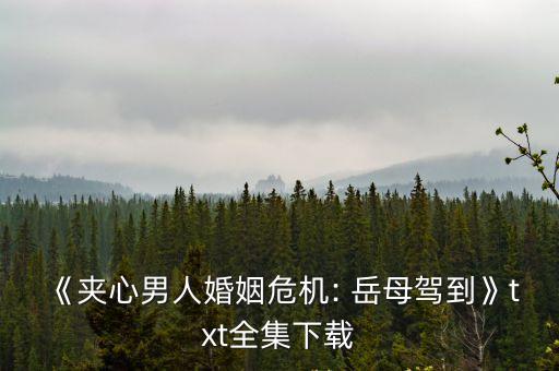 和岳母性交小說,這個(gè)村有一半都是我的娃