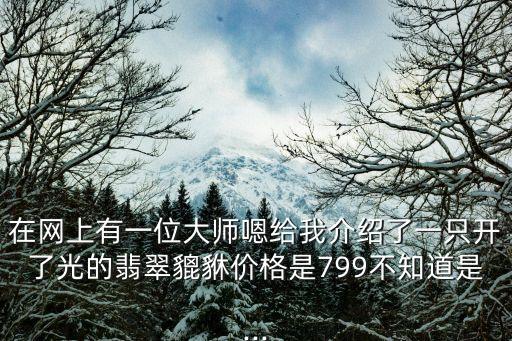 在網(wǎng)上有一位大師嗯給我介紹了一只開了光的翡翠貔貅價(jià)格是799不知道是...