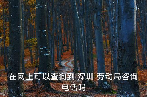 在網(wǎng)上可以查詢到 深圳 勞動局咨詢電話嗎