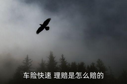 快速理賠流程,對方全責(zé)快速理賠流程