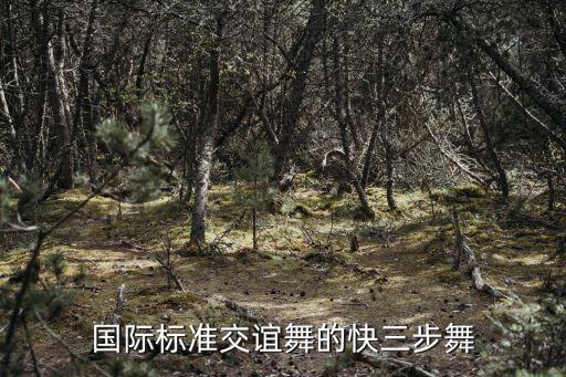 5分快三