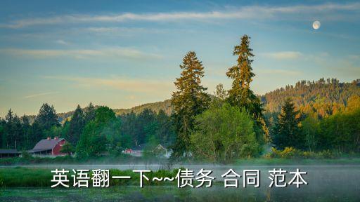 英語翻一下~~債務 合同 范本