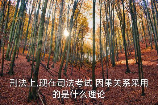 相當(dāng)因果關(guān)系,客觀歸責(zé)理論和相當(dāng)因果關(guān)系