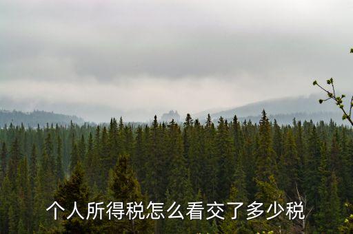 個人所得稅怎么看交了多少稅