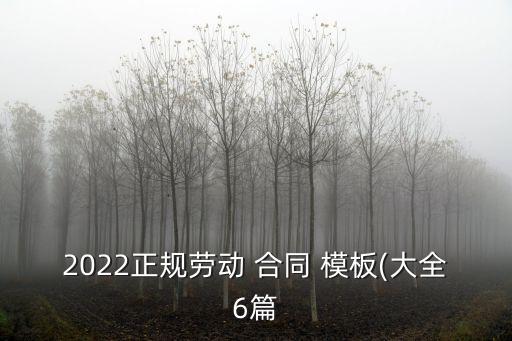 2022正規(guī)勞動 合同 模板(大全6篇
