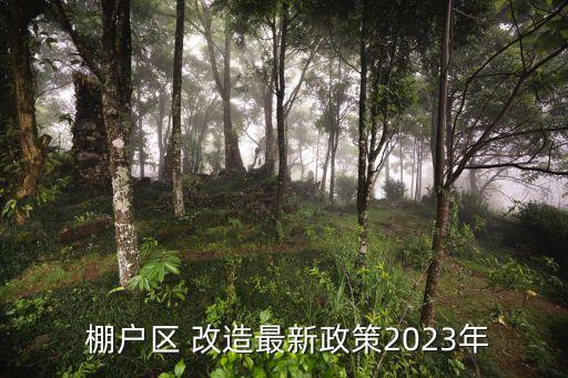  棚戶區(qū) 改造最新政策2023年