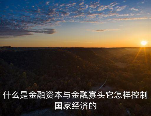 什么是金融資本與金融寡頭它怎樣控制國家經(jīng)濟的