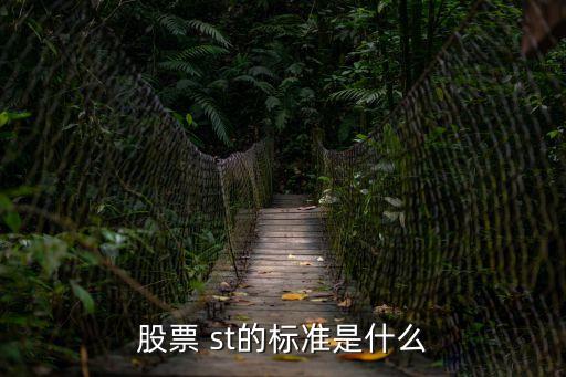 上市公司st