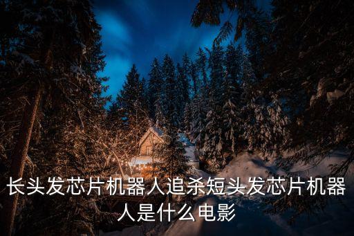 長(zhǎng)頭發(fā)芯片機(jī)器人追殺短頭發(fā)芯片機(jī)器人是什么電影