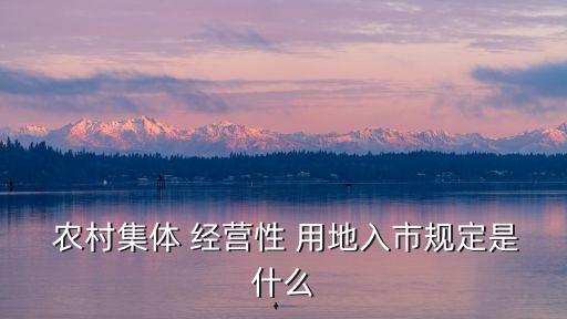  農(nóng)村集體 經(jīng)營性 用地入市規(guī)定是什么