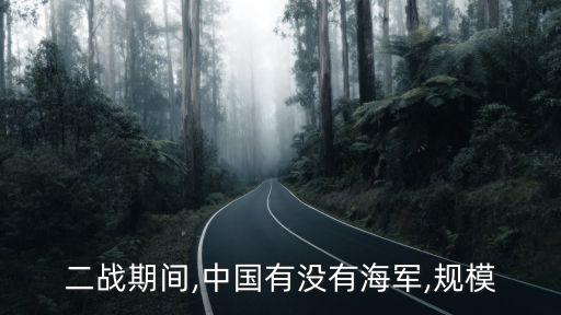 二戰(zhàn)期間,中國(guó)有沒有海軍,規(guī)模