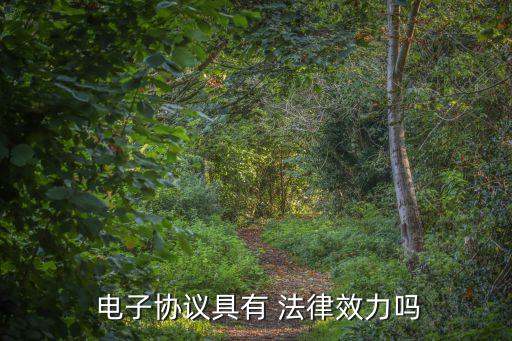  電子協(xié)議具有 法律效力嗎