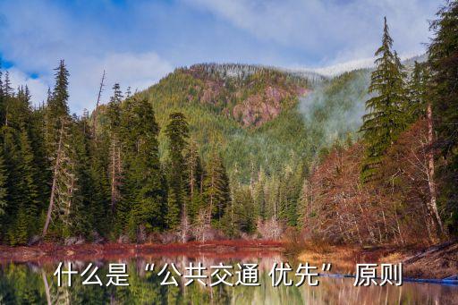 什么是“公共交通 優(yōu)先” 原則