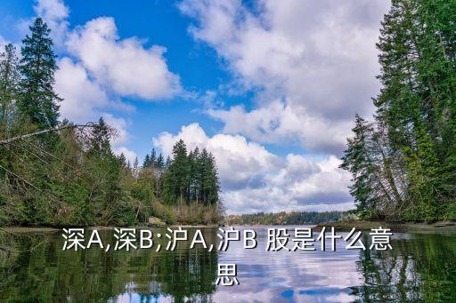 深A(yù),深B;滬A,滬B 股是什么意思