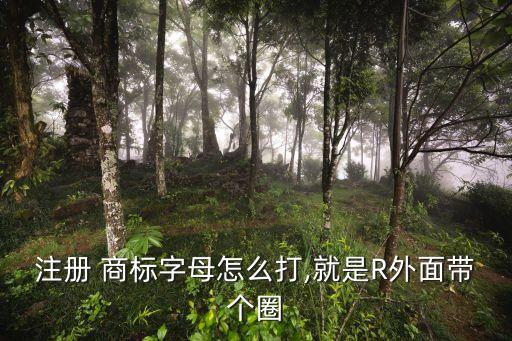 商標符號,手機怎么打出注冊商標符號