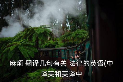 法律專業(yè)翻譯軟件