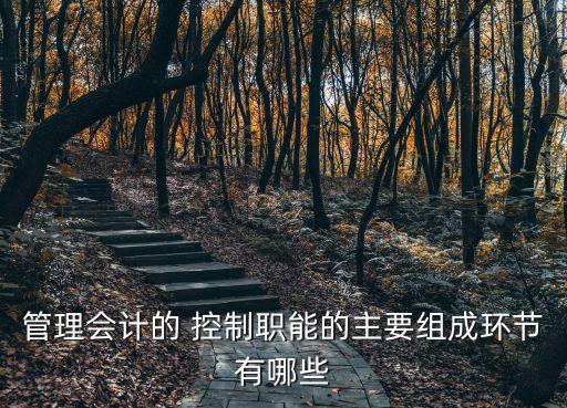 管理會(huì)計(jì)的 控制職能的主要組成環(huán)節(jié)有哪些