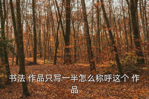 未完成的作品,克里斯托和讓娜-克勞德未完成的作品