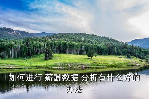 如何進(jìn)行 薪酬數(shù)據(jù) 分析有什么好的辦法
