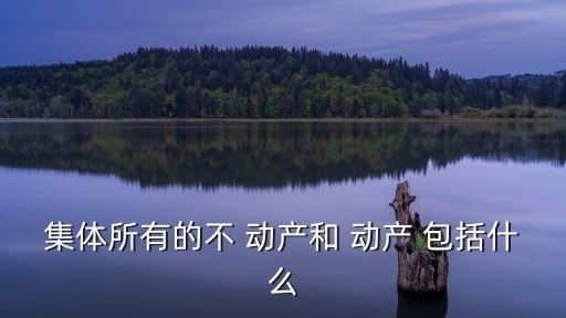 集體所有的不 動產和 動產 包括什么