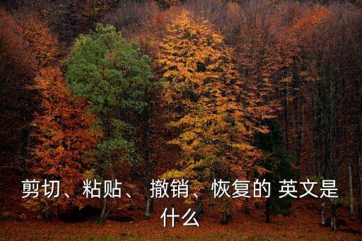 撤銷(xiāo)的英文單詞,撤銷(xiāo)單詞怎么寫(xiě)