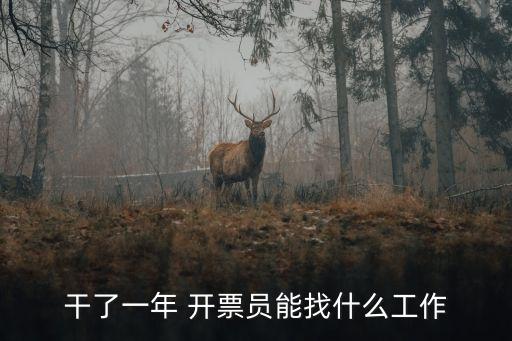 干了一年 開票員能找什么工作