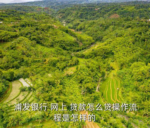  浦發(fā)銀行 網(wǎng)上 貸款怎么貸操作流程是怎樣的