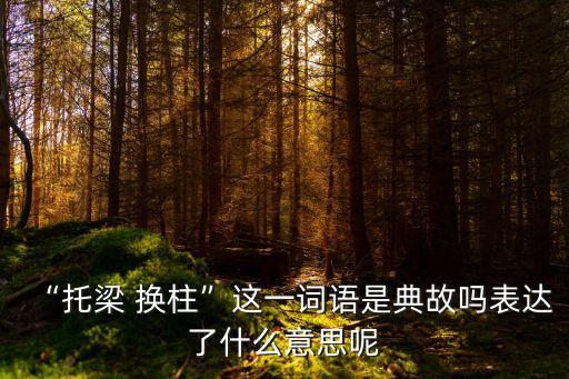換柱,8769澳門天彩全年免費資料偷梁換柱