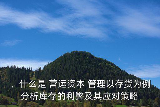 、什么是 營(yíng)運(yùn)資本 管理以存貨為例分析庫存的利弊及其應(yīng)對(duì)策略