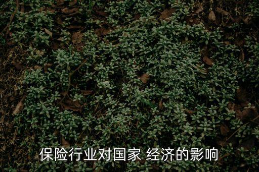 保險經(jīng)濟