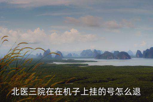 掛號費可以退嗎,網(wǎng)上預(yù)約掛號費可以退嗎