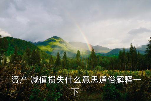  資產(chǎn) 減值損失什么意思通俗解釋一下