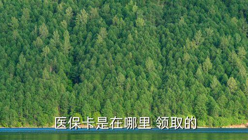  醫(yī)保卡是在哪里 領(lǐng)取的