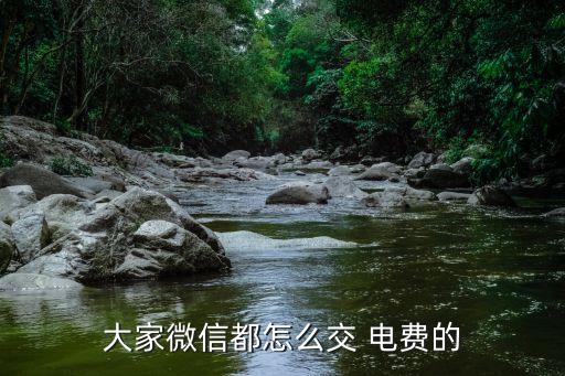 微信交電費(fèi)怎么交