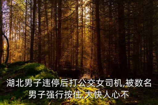 湖北男子違停后打公交女司機,被數(shù)名男子強行按住,大快人心不