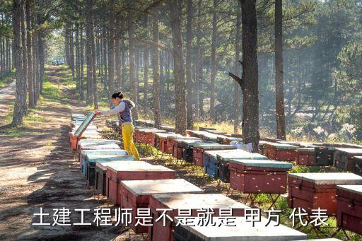 甲方代表