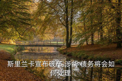 債務(wù)展期,貴州債務(wù)展期