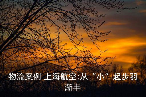 上海航空公司