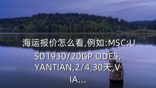 海運(yùn)報(bào)價(jià)怎么看,例如:MSC:USD1930/20GP ODES,YANTIAN,2/4,30天,VIA...