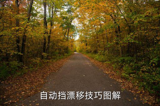 自動(dòng)擋漂移技巧圖解