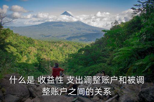 什么是 收益性 支出調(diào)整賬戶和被調(diào)整賬戶之間的關(guān)系