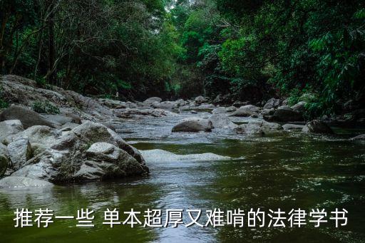 推薦一些 單本超厚又難啃的法律學(xué)書